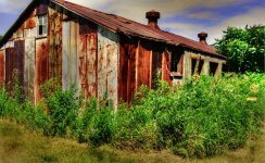 020_pe_tonemapped_tonemapped (2).jpg
