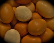 eggs copy.jpg