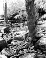 6-9-15 Berea Falls IR   1bw.jpg