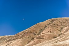 _6000347 (1000x668).jpg