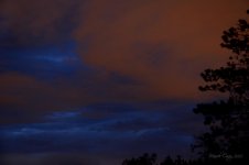 night sky.jpg