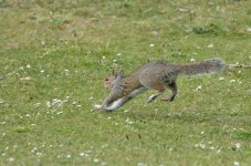 DSC_3043.jpg