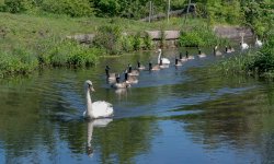 DSC_0276.jpg