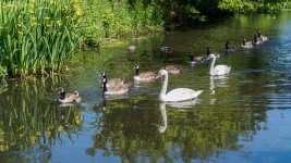 DSC_0278.jpg