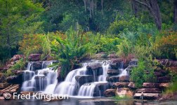 WaterFalls.jpg