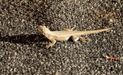 8-9th June 2015 005.JPG