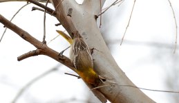 8-9th June 2015 028.JPG