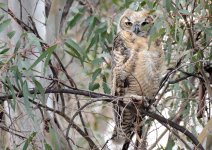 8-9th June 2015 039.JPG