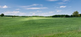 Landscape-9817.jpg
