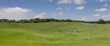 Landscape-9822.jpg