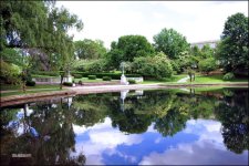 6-4-15 Severance Hall   71.jpg