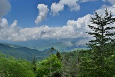 DSC_0647.jpg