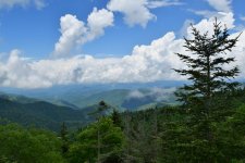 DSC_0646.jpg