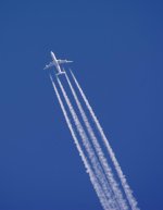 1MG_6489-2.jpg