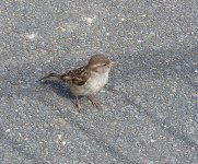 DSCN0108.jpg