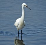 DSCN0179.jpg