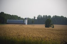 _DSC0756.JPG