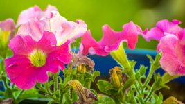 DSC_6806.jpg