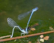 DSC_3113.jpg
