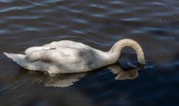 DSC_3188.jpg
