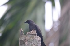 DSC_1788.jpg