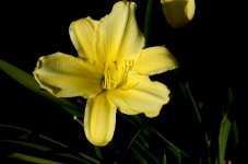 11th June 2015 007.JPG