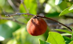 11th June 2015 011.JPG