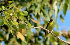 11th June 2015 033.JPG