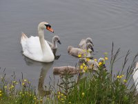 DSCN0282.jpg