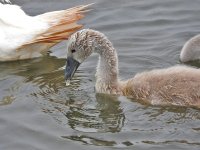 DSCN0287.jpg