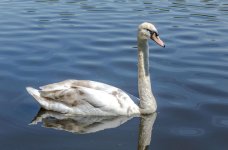 DSC_5484.jpg