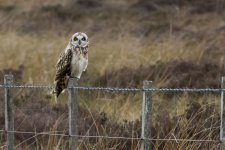 DSC_2665.jpg