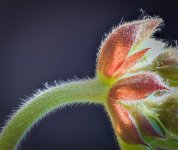 untitled-1-4.jpg