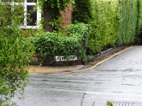 DSCN0331.jpg