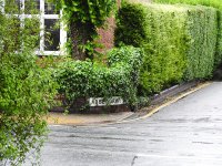 DSCN0332.jpg