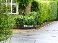 DSCN0336.jpg