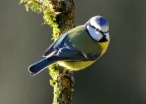 DSC_8360.jpg