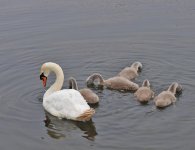 DSCN0288.jpg