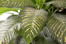 12th June 2015 169.JPG