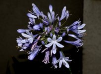 12th June 2015 174.JPG