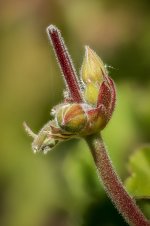 untitled-1-147.jpg