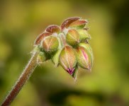 untitled-1-5.jpg
