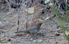 13th June 2015 002.JPG