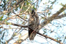 13th June 2015 003.JPG