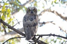 13th June 2015 010.JPG