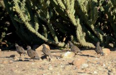 13th June 2015 035.JPG