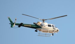 13th June 2015 039.JPG