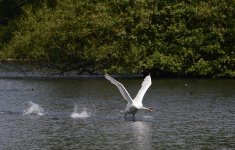 DSC_0568.jpg