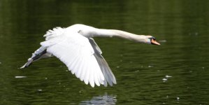 DSC_0577.jpg