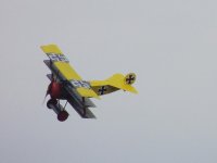 DSCN9994.jpg